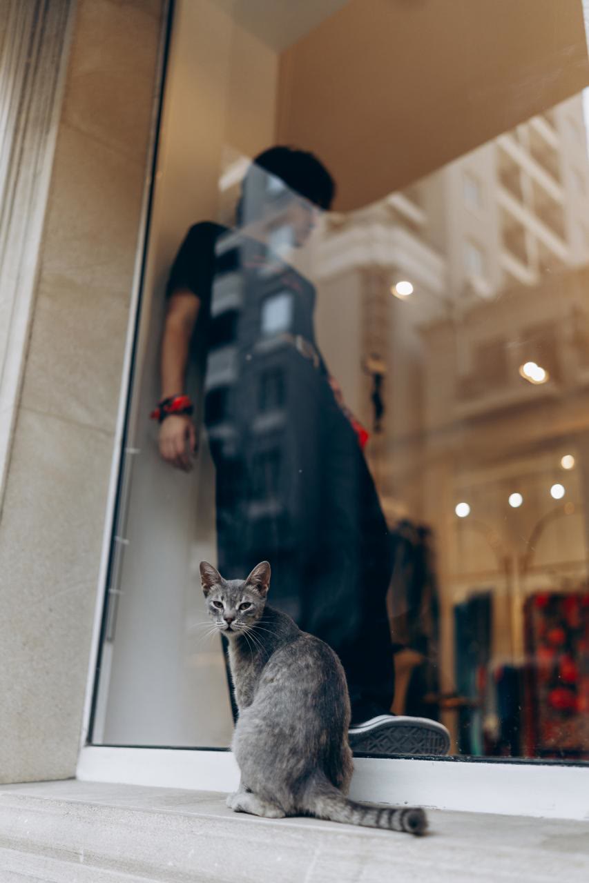 A grey cat sits outside the shop window and looks at the camera; Jamal stands behind the glass.